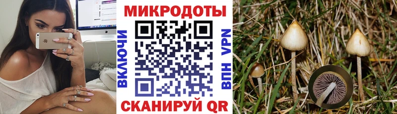 наркошоп  Лебедянь  hydra рабочий сайт  Псилоцибиновые грибы Psilocybe 
